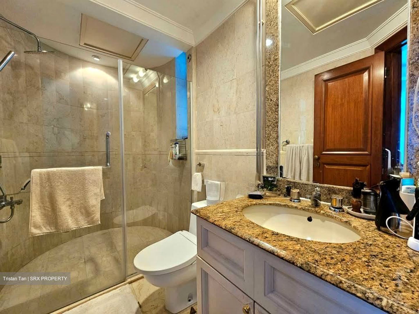 Valley Park (D10), Condominium #544983901
